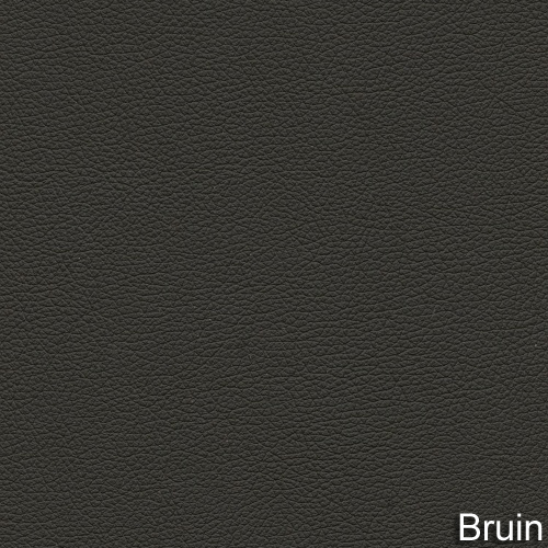 Bruin
